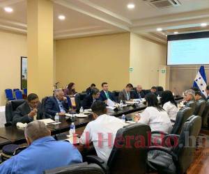 El CNDS fue creado en el 2011 e incluía al titular del Poder Judicial, Legislativo y Ministerio Público; con la nueva ley ellos ya no estarán.