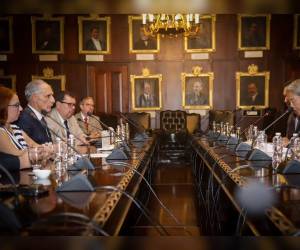 La iniciativa fue formalizada este lunes 26 de octubre mediante la firma de una carta de entendimiento entre la Secretaría de Agricultura y Ganadería (SAG) y la Embajada de Japón en Honduras.
