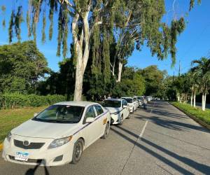 Con una larga fila, los taxistas se manifestaron en contra de los altos precios de los combustibles.