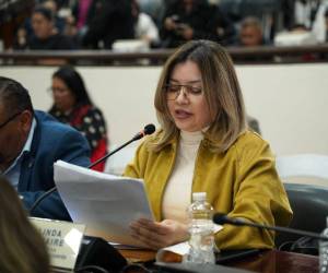 La diputada Linda Donaire hizo la propuesta de reforma al Código Penal.