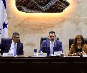 El tercer debate de la Ley de Justicia Energética se realizó en la sesión de este lunes.
