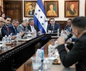 ​La iniciativa, impulsada mediante moción por la presidencia del Poder Legislativo, Tomás Zambrano.
