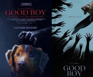 Good Boy es un recordatorio de que, cuando el peligro acecha y las sombras se alargan, el mejor amigo del hombre puede ser también su última esperanza.