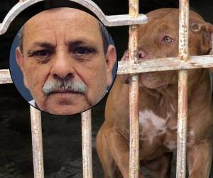 Tras conocerse que el perro pitbull Zeus mató a su dueño -el 21 de septiembre- en la colonia Hato de Enmedio, se ha dado a conocer qué sucederá con la mascota. ¿Será sacrificado? Esto informó la Policía Municipal.