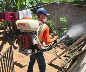 Los operativos de fumigación contra el dengue serán desarollados por la Alcaldía del Distrito Central, Copeco y la Región Metropolitana de Salud.