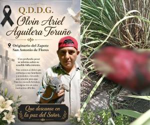 Nunca fuiste mal portado: Así recuerdan a Pancho, hallado encostalado tras varios días desaparecido en Choluteca