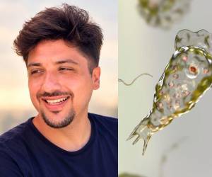 En los últimos días, un instructor de esquí acuático, únicamente identificado como Carlos, de 33 años, perdió la vida tras infectarse con la Naegleria fowleri, conocida como la ameba comecerebros, mientras laboraba en un lago artificial de la Plaza de la Isla, en Mérida, capital del Estado de Yucatán, en México. A continuación los detalles del caso.