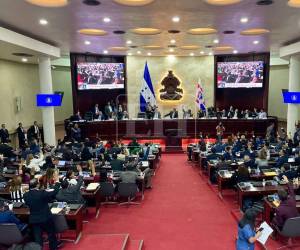El plazo fue aprobado por la mayoría del pleno del Legislativo.