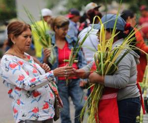 Desde tempranas horas del viernes 27 de marzo, las cercanías de la Catedral Metropolitana y la Plaza Central Francisco Morazán, se llenaron emprendedores que venden los tradicionales ramos y cruces de palma, de cara a las actividades religiosas que se avecinan para esta Semana Santa 2026.