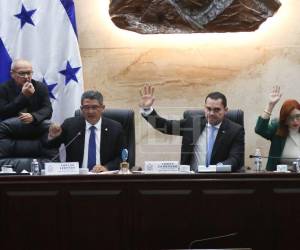 Los diputados comenzaron la sesión al filo de las 3:00 de la tarde de este martes 3 de febrero.