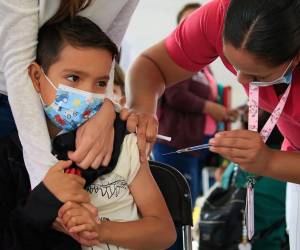 Expertos alarman sobre una nueva sombra epidemiológica que se estaría proyectando sobre la población infantil a nivel global. La variante BA.3.2 del SARS-CoV-2, bautizada popularmente como la cigarra, ha encendido las alarmas en Estados Unidos y otros países, debido a que el blanco principal de esta cepa son los niños de entre 3 y 15 años.