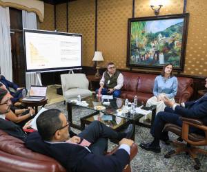 El secretario de la presidencia Juan Carlos García se reunió con Julia Johannsen, representante residente del Grupo BID en Honduras, donde acordaron impulsar la herramienta para modernizar el Estado.