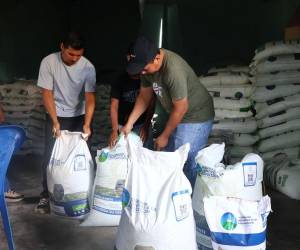 Las autoridades gubernamentales brindan incentivos a los productores como parte de la asistencia debido a la sequía que afecta la mayor parte del territorio nacional.