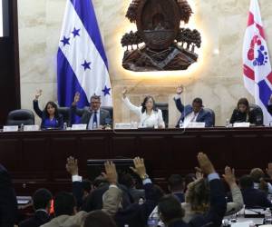 Las amnistías fueron aprobadas este martes en la sesión ordinaria.
