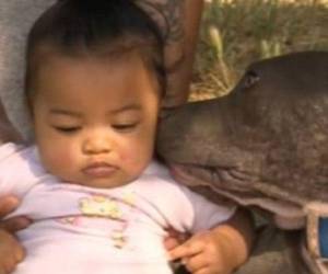 La perra Sasha se convirtió en la heroína de la bebé.