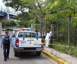 El fuerte olor que emanaba del lugar habría alertado a los vecinos del sector, quienes se percataron de la presencia del cuerpo y dieron aviso a las autoridades.