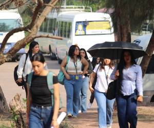 Las autoridades aseguraron el transporte universitario para los estudiantes que ingresaron en el segundo período académico.
