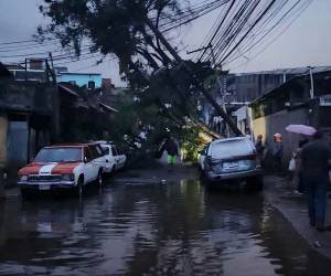 El reporte contabiliza 10 inundaciones, además de la caída de un árbol, un socavón, un deslizamiento, un derrumbe y un puente afectado en diferentes sectores del Distrito Central.