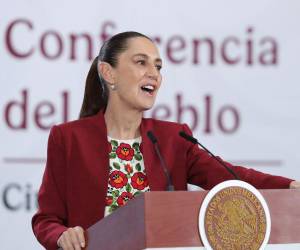 La presidenta de México, <b>Claudia</b> Sheinbaum, afirmó que el incendio está controlado.