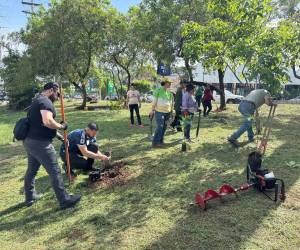 El departamento de Parques y Jardines de la Alcaldía capitalina reporta 120,000 plantas ornamentales y maderables, luego de sembrar 40,000 ejemplares en distintos sectores de la ciudad.