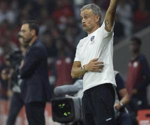 Luis Enrique ha tenido un paso formidable por el París Saint-Germain.