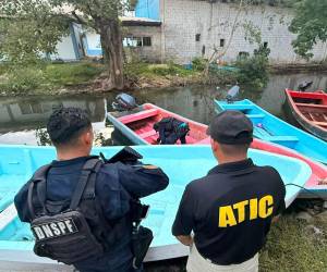 En los operativos también fueron decomisados siete kilos de presunta cocaína, 10 armas de fuego, dos granadas de fragmentación, 10 cargadores de fusil y equipo táctico de uso policial y militar.