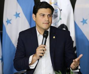 Ochoa denunció que el sistema de proyección del conteo de votos preliminar ya presentaba fallas, previo a los comicios del 30 de noviembre