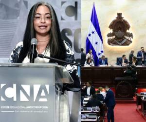 “Tenemos un nuevo Congreso, pero empezamos a observar prácticas que nos recuerdan al pasado”, manifestó la titular del CNA.