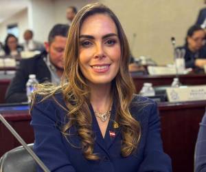 Alia Kafati, diputada del Partido Liberal, adelantó que no votará por la reforma energética.