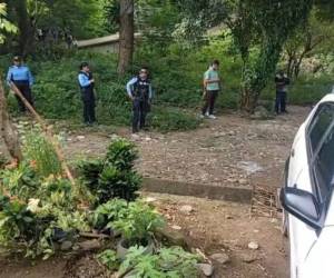 La cabeza de un hombre fue hallada en El Progreso, Yoro. La Policía Nacional continúa con la búsqueda del resto del cuerpo para avanzar en la identificación de la víctima y esclarecer el crimen.