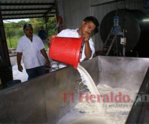 El precio que la Secretaría de Agricultura y Ganadería (SAG) les propuso fue de 11 lempiras por litro de leche.
