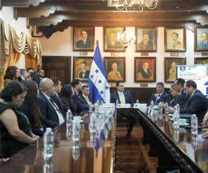 ​Esperemos que en menos de un año tengamos ya un sistema de votación actualizado, un sistema de votación que informe a la inmediatez cómo votamos cada diputado, expresó el presidente del leislativo.