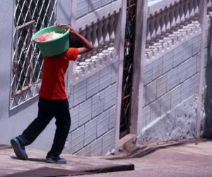 Son más de 342,000 menores en Honduras que trabajan en actividades agrícolas, de comercio y de construcción.