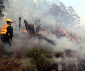 El año 2025 cerró con cifras alarmantes: 1,079 incendios y 48,636 hectáreas afectadas a nivel nacional, lo que marcó uno de los periodos más críticos en materia forestal.