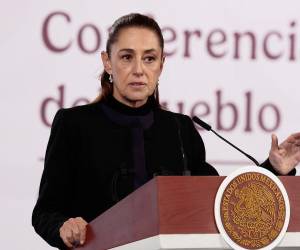 La presidenta también hizo un reconocimiento a las Fuerzas Armadas por su actuación.