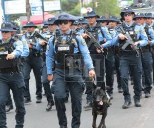 Agentes policiales, caninos y estudiantes iniciaron las marchas de este 15 de septiembre en conmemoración de los 205 años de independencia. Aquí las imágenes de cómo se vive el ambiente en las primeras horas.