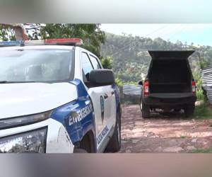 Una mujer no identificada fue asesinada en la colonia Los Pinos de la capital.