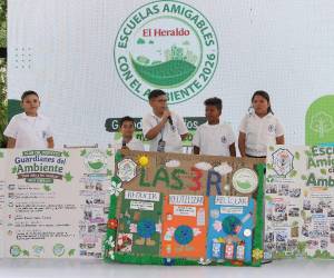 Durante el Congreso Infantil, los Comités Ambientales también expusieron sus proyectos finales para continuar con el legado ambiental.