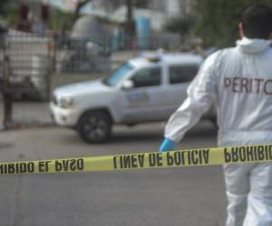 El exalcalde de Chinameca, en el estado de Veracruz (México), Lázaro Francisco Luría, fue asesinado tras haber sido secuestrado, según confirmaron fuentes de seguridad.