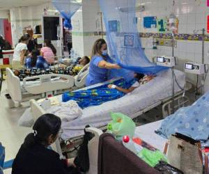 Los menores de 15 años de edad son los más vulnerables a la picadura del zancudo transmisor del dengue, advierten autoridades sanitarias.