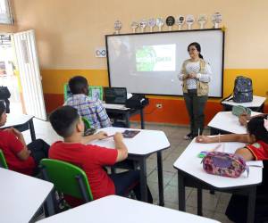 Estudiantes de los Comités Ambientales aprendieron sobre los ecosistemas existentes en el territorio nacional de la mano de expertos de DECOAS.