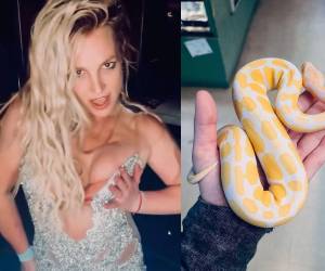 Tras aceptar un acuerdo de culpabilidad por su detención en Los Ángeles en marzo, Britney Spears ha compartido un mensaje sobre gratitud y crecimiento personal que ha generado reacciones entre sus seguidores.