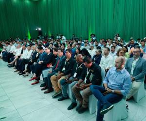 Los productores de palma se reunieron en San Pedro Sula para participar en el II Congreso de Palmicultores donde el gobierno de la República les ofreció los incentivos.