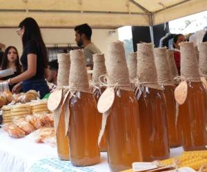 Los apicultores fortalecen la producción de miel con apoyo de la Secretaría de Agricultura y Ganadería (SAG) con la que van a obtener una mayor producción y calidad del producto.