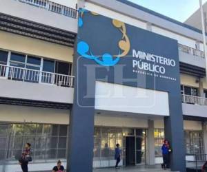 El proyecto había sido presentado por la diputada Scherly Arriaga (Libre), y aprobado originalmente por el pleno del Congreso Nacional el 8 de marzo de 2023.