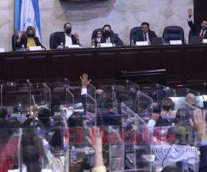 El proyecto de ley emitido por el Poder Ejecutivo nunca fue enviado a la comisión de dictamen por la Secretaría del Congreso Nacional para que fuera dictaminado.