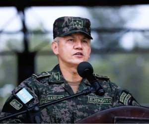 El jefe de las Fuerzas Armadas afirmó que respaldarán declaratoria del CNE.