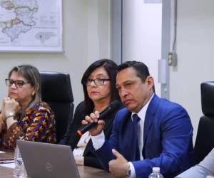 El jefe de vigilancia epidemiológica, Homer Mejía, brindó detalles de las acciones para prevenir brotes.