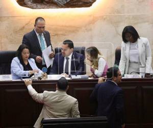 El pleno decidirá en un plazo de 10 días si admite o no el recurso de destitución.