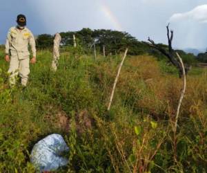 El cadáver fue descubierto en un terreno en avanzado estado de descomposición.